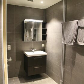 appartement 2 - salle de douche - WC