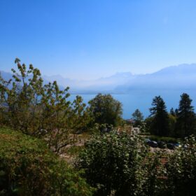 view of the lake from the 2-room accommodation