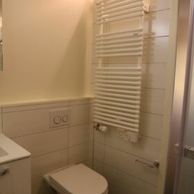 2-Zimmer-Wohnung Dusche und WC